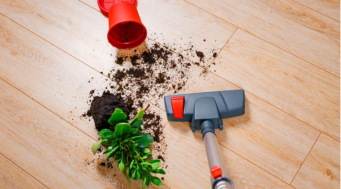 The Best Affordable Dirt Devil Vacuum Cleaners