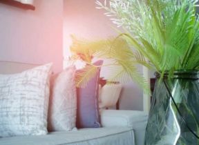 Best Air Purifier for Smoke