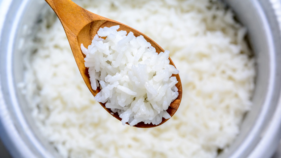 Best Microwave Rice Cooker