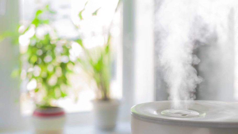 Best Filterless Humidifier