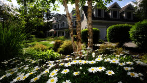 13 Common DIY Mistakes People Make When Designing Their Landscapes
