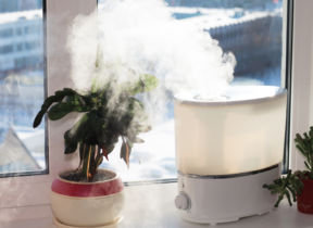 Should I Buy A Humidifier?
