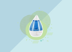 Best Crane Humidifier