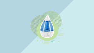 Best Crane Humidifier
