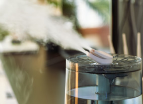 Benefits of Using a Humidifier